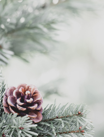 SP Guild Country SM Event