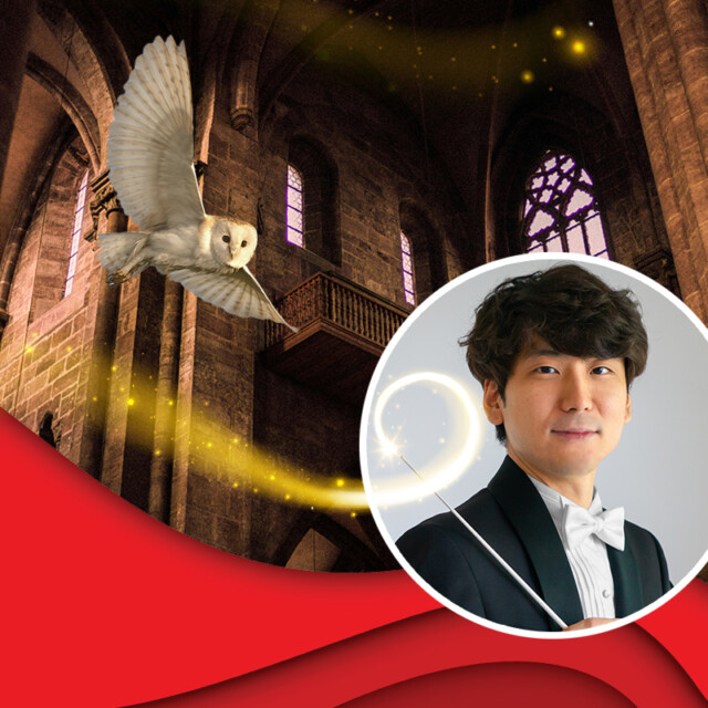 Harry Potter Sm Event